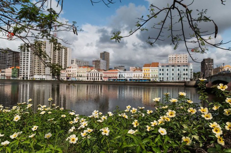 Vista do Recife antigo com flores em primeiro plano