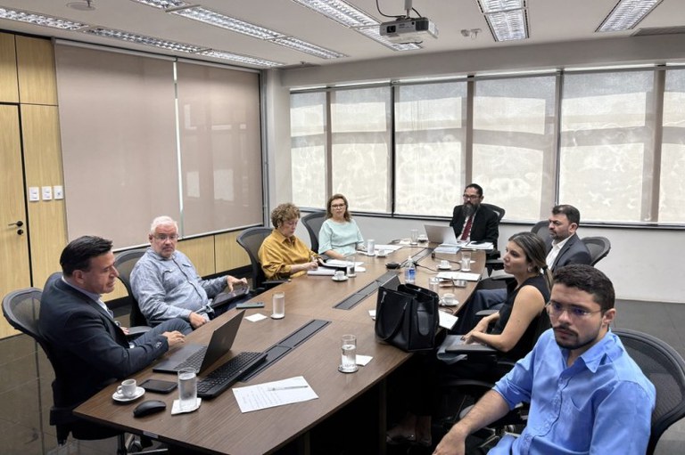 Foto mostra participantes reunidos em volta de uma mesa