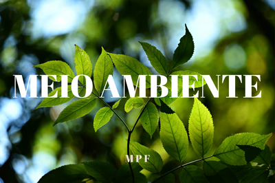 Foto mostra um galho verde e em branco está escrito Meio Ambiente