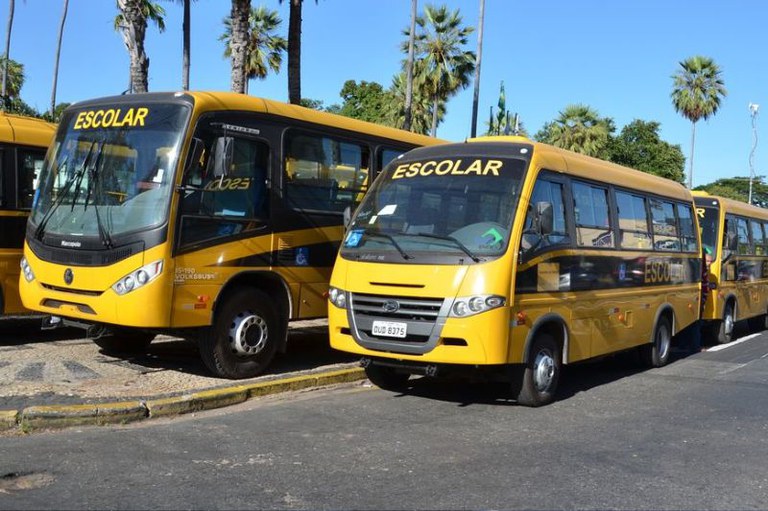 Foto mostra ônibus escolares em uma rua larga com palmeiras nas margens