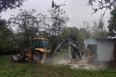Em área de campo com árvores, retroscavadeira destrói construção de alvenaria