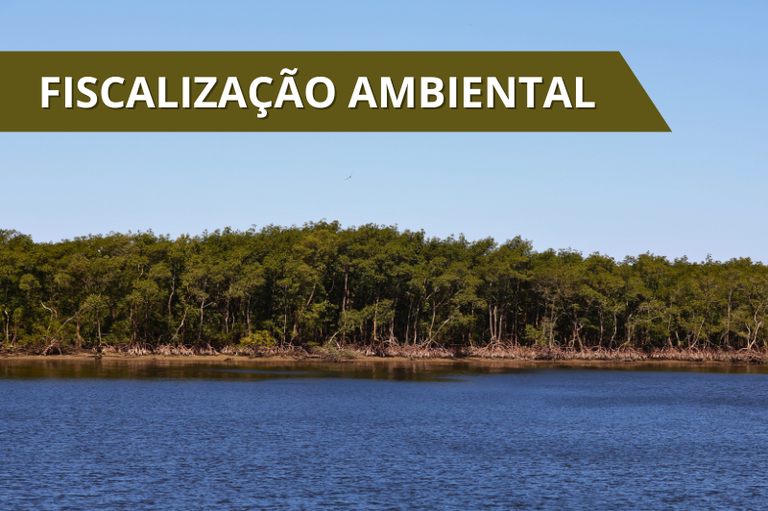 Arte com foto de região de mangue ao fundo, com rio em primeiro plano e vegetação em segundo plano; na parte superior, há a expressão Fiscalização ambiental