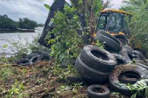 imagem de um trator escavando uma área de vegetação densa próxima a um corpo d’água, como um rio ou mangue. No primeiro plano, há dezenas de pneus usados e sujos empilhados irregularmente sobre o solo, indicando descarte inadequado de resíduos.
