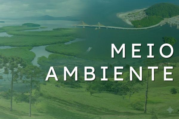 É uma montagem que une a Ponte de Guaratuba, manguezais litorâneos e uma colina com araucárias sob o texto em destaque "MEIO AMBIENTE".
A composição ilustra a diversidade ecológica paranaense, sobrepondo de forma harmoniosa os cenários da costa e do planalto em uma única identidade visual.