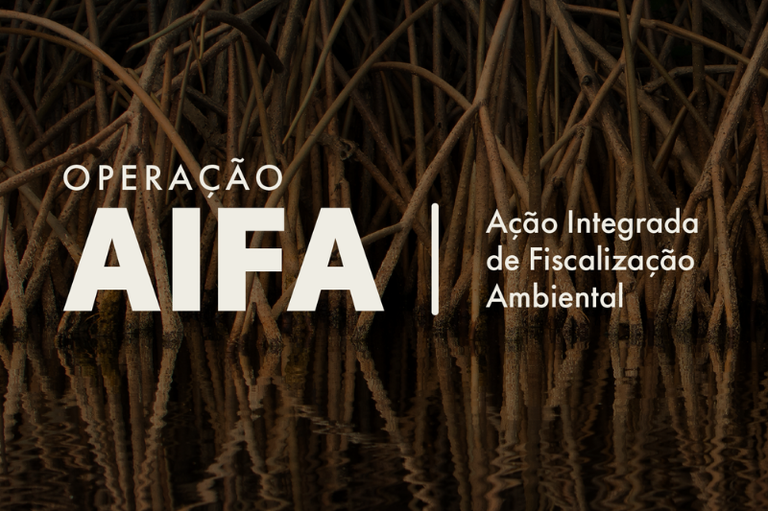 lustração com raízes de mangue densamente entrelaçadas sobre a água escura, formando um cenário natural de tons terrosos e sombreados. Sobre a imagem, em destaque, aparece o texto “Operação AIFA”, acompanhado da descrição “Ação Integrada de Fiscalização Ambiental”, em letras claras que contrastam com o fundo.