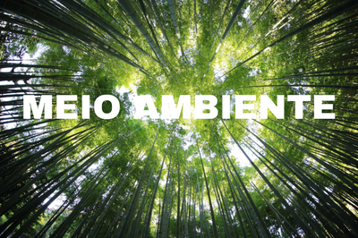 #ParaTodosVerem: a foto de fundo mostra muitas árvores, num ângulo de baixo para cima, com caules altos convergindo em direção ao céu; as copas verdes deixam a luz do sol atravessar, criando um efeito de claridade entre as folhas. No centro da foto, em letras brancas grandes, está escrito: “MEIO AMBIENTE”.