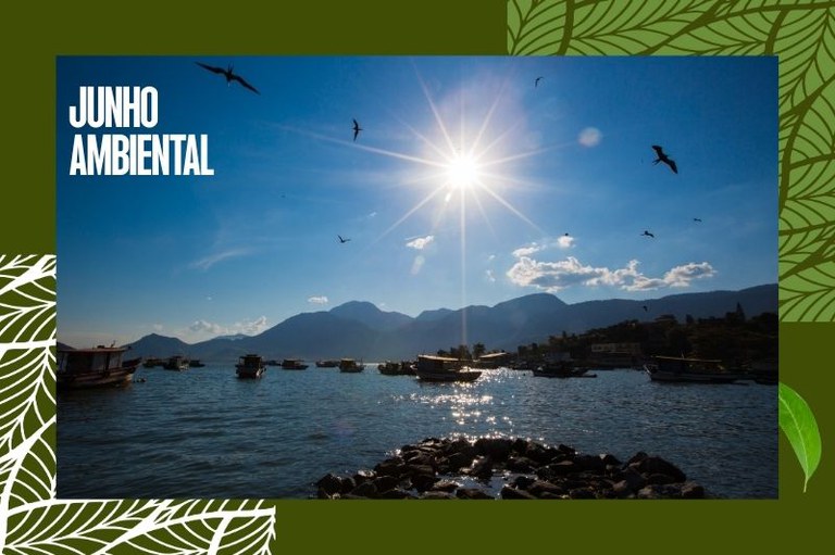 Foto mostra o mar da Ilha da Madeira com pedras e barcos e o reflexo do sol, ao fundo montanhas