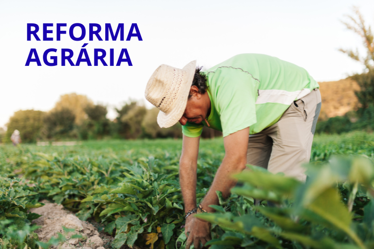 Arte com foto de homem em plantação; ele usa chapéu de palha e está abaixado, com as mãos no vegetal. Sobre a foto, há a expressão Reforma agrária