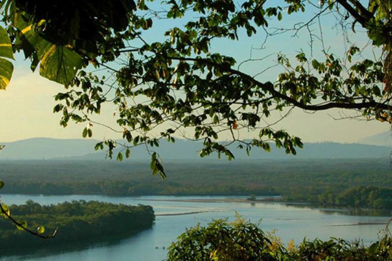 foto da vista de um mangue na reserva biológica de Guaratiba mostra vegetação e rio com montanhas ao fundo