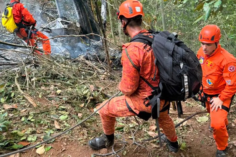 Foto mostra área de mata destruída e bombeiros apagando fogo
