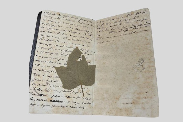 Foto da caderneta de viagem do imperador D. Pedro II aberta mostrando as anotações e uma folha verde colada por cima