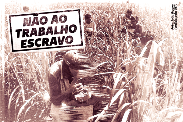 Uma imagem em tons de sépia mostra um grupo de trabalhadores agachados em meio a um canavial denso, fazendo uma refeição em marmitas de metal. Em primeiro plano, um homem de boné aparece sentado no chão focado em sua comida, com um efeito visual de distorção em linhas horizontais que corta parcialmente o seu corpo. No canto superior esquerdo, há um carimbo com borda preta e letras garrafais com a frase "NÃO AO TRABALHO ESCRAVO". No canto superior direito, na vertical, consta o crédito: "Foto: João Ripper (cedida pela OIT)".