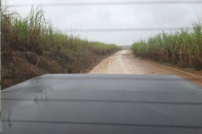 Foto tirada de dentro de um carro mostra uma estrada de terra com mato ao longo do caminho nos dois lados da estrada