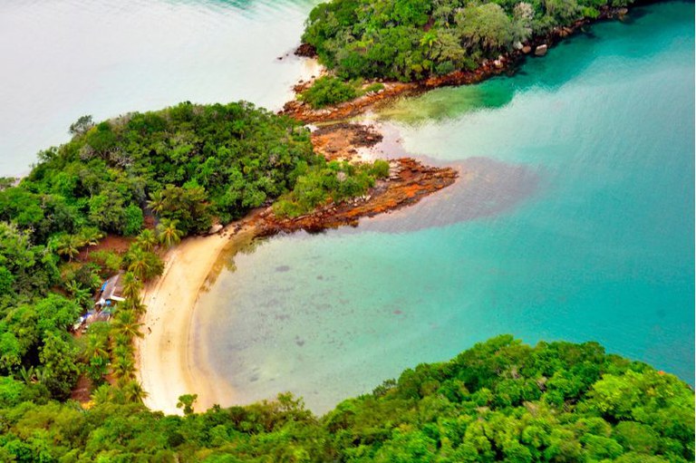 Foto aérea mostra vegetação cortando a imagem ao maio, do lado esquerdo água e do lado direito faixa de areia e água do mar