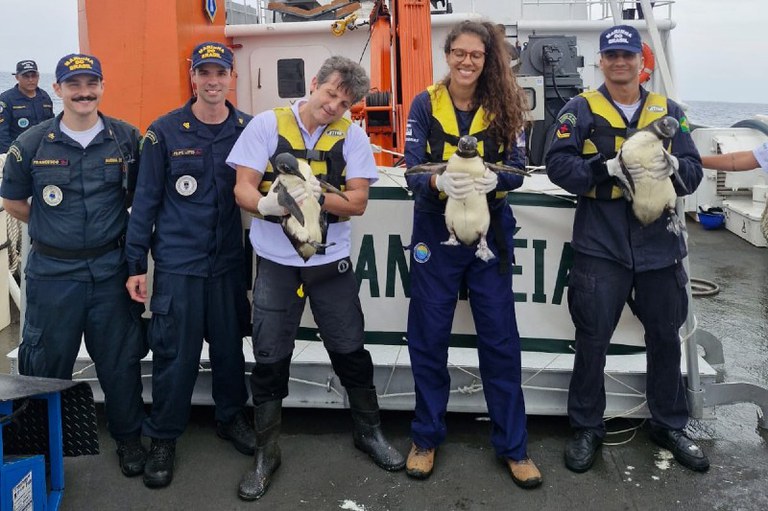 Foto mostra três pessoas segurando os pinguins que serão soltos