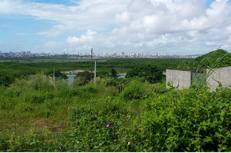 Vista panorâmica de uma vasta área de vegetação de manguezal com o horizonte da cidade de Natal repleto de edifícios ao fundo sob um céu com nuvens brancas.