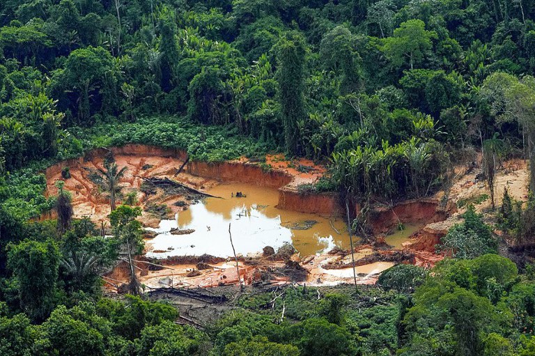Fotografia aérea mostrando uma grande área desmatada e escavada no meio de uma densa floresta tropical. No centro da clareira, há uma grande cratera aberta com solo alaranjado e argiloso, contendo uma poça de água barrenta e amarelada no fundo, acompanhada por troncos de árvores caídos e sinais de erosão nas bordas. Ao redor de toda a cratera, a vegetação verde e fechada contrasta fortemente com a terra exposta pela atividade de garimpo.