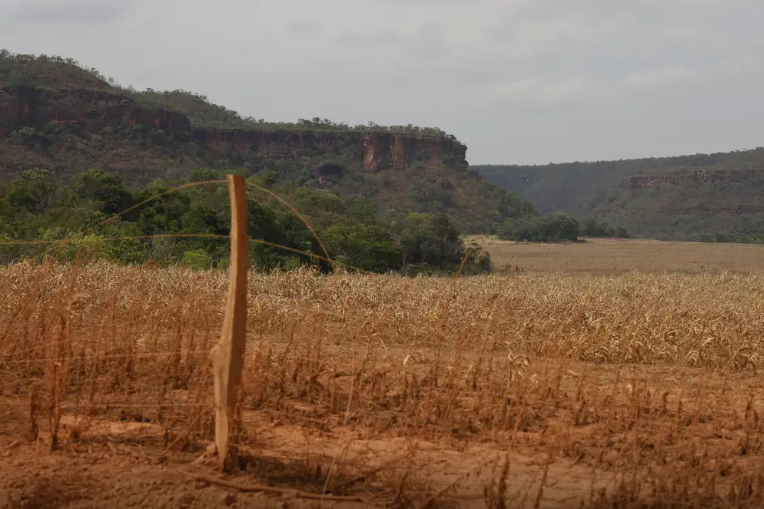 Fotografia de uma plantação morta com morros verdes ao fundo.