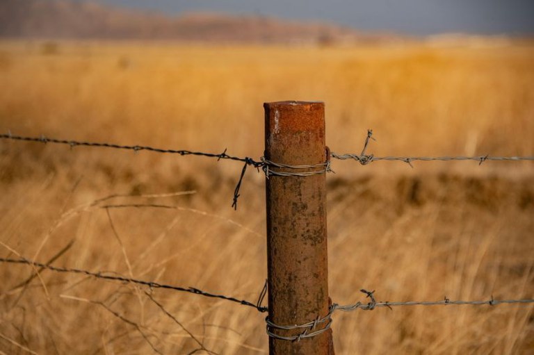 Foto mostra uma cerca de arame farpado em um pasto