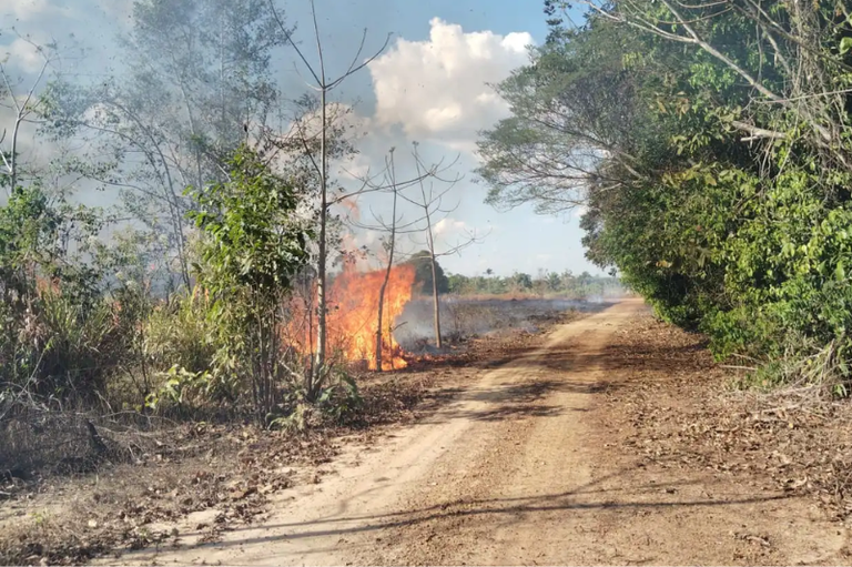 Foto mostra área rural, com estrada de terra cercada por algumas árvores e um foco de incêndio à beira da estrada