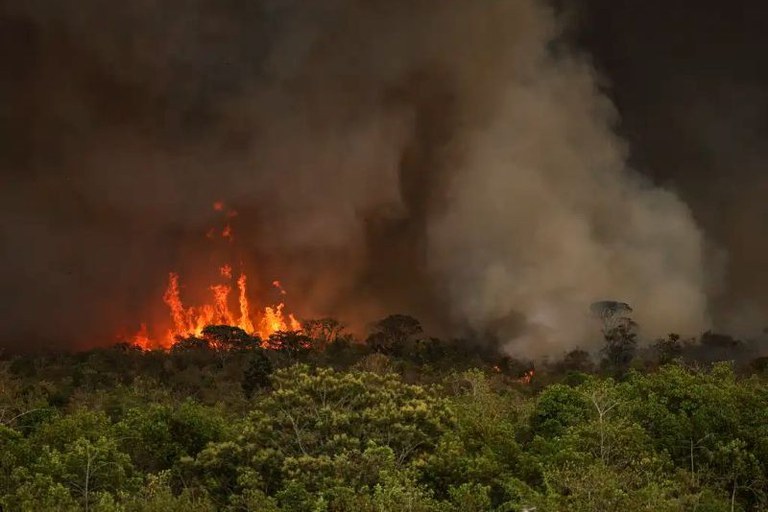 Foto de incêndio. É possível ver vegetação densa, labaredas de foto e a fumaça muito densa da queimada. Não é possível ver o céu.