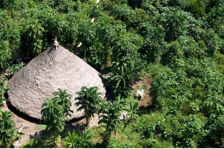 Vista aérea de uma grande habitação indígena cônica com teto de palha, cercada por palmeiras e pela vegetação densa da floresta.