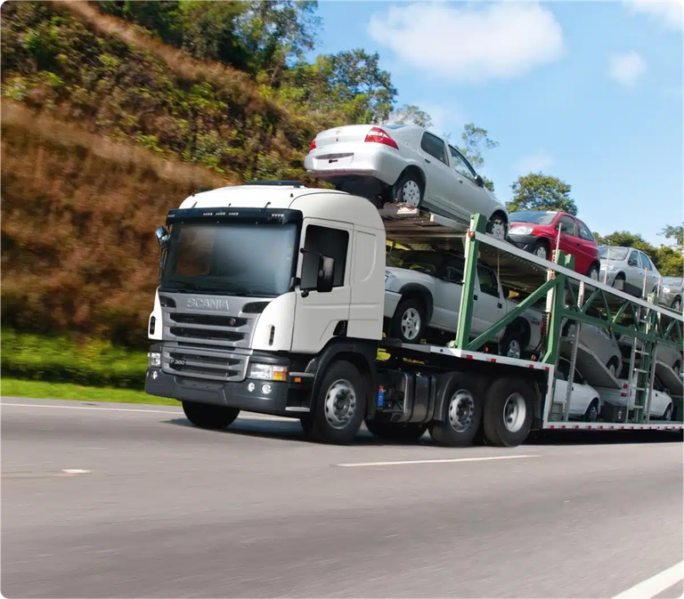 Um caminhão cegonha transportando vários carros de cores, marcas e fabricantes diferentes.