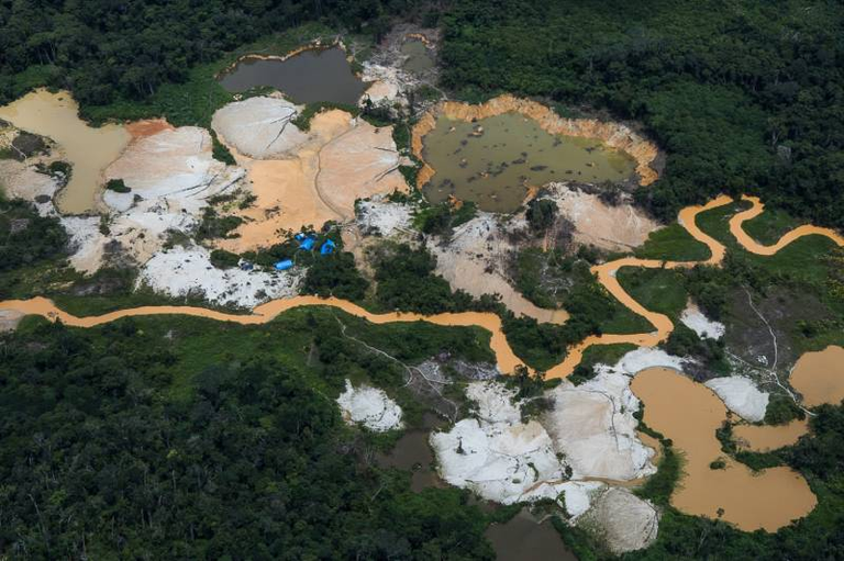 Vista aérea de área de garimpo em meio à floresta densa, com trechos desmatados de solo exposto, cavas com água turva e um rio sinuoso de cor barrenta.
