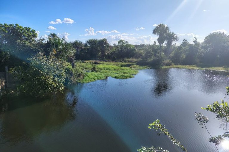 Foto mostra rio e vegetação do Parque Nacional do Viruá
