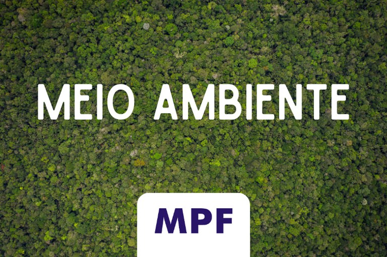 MPF obtém decisão que determina comprovação da origem de cassiterita ligada a garimpo na Terra Indígena Yanomami (RR)