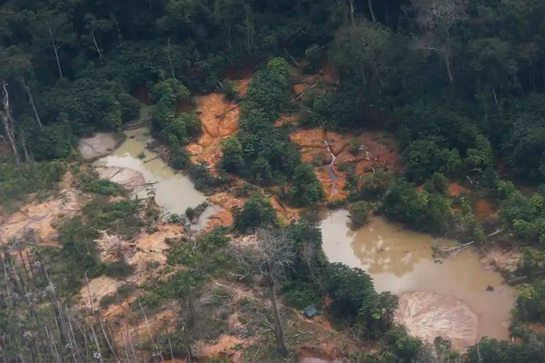MPF pede responsabilização de quatro empresas por cooperação com o garimpo ilegal na Terra Yanomami