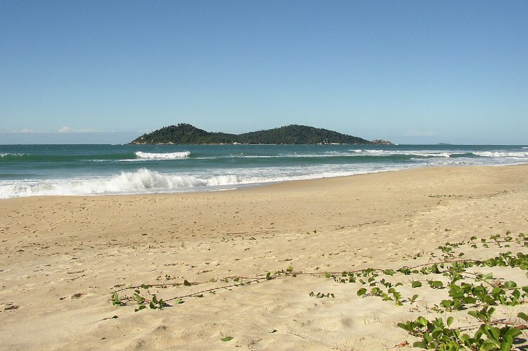 Foto mostra trecho de restinga e mar na praia do Campeche, em Florianópolis