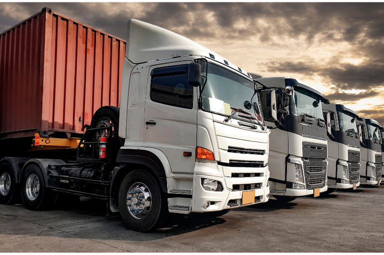 foto mostra caminhões brancos enfileirados