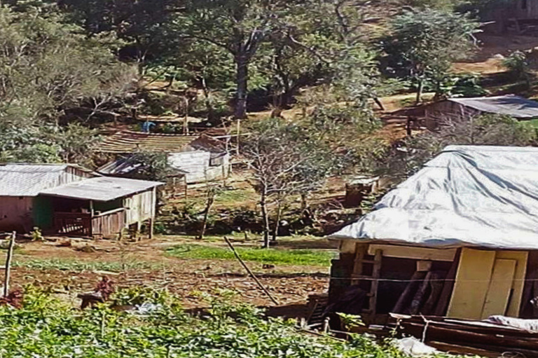 Vista de pequenas casas de madeira e estruturas cobertas por lonas espalhadas em meio à vegetação de um terreno rural.