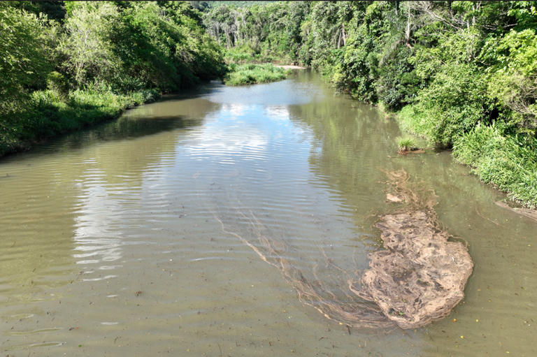 Foto de rio de água barrenta e turva correndo entre margens com vegetação verde densa, em um ambiente natural.