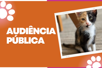 Imagem com fundo laranja e o texto em branco, em letras maiúsculas e negrito: "AUDIÊNCIA PÚBLICA". No canto superior esquerdo e inferior direito há pegadas brancas estilizadas. No lado direito, uma foto inclinada de um filhote de gato tricolor, com pelagem preta, branca e laranja. O gatinho tem um olhar curioso e está sentado sobre um tapete bege, com móveis ao fundo. A borda da foto simula uma moldura de filme analógico. O design tem um tom sério e informativo, sugerindo um evento relacionado à causa animal.