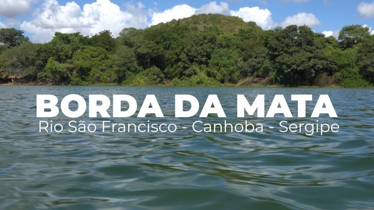 Lançamento do documentário “Memória Verde: Recuperação da Mata Ciliar do Rio São Francisco em Borda da Mata”, em Canhoba (SE), em 06/02/2026. Foto: Comunicação/MPF.