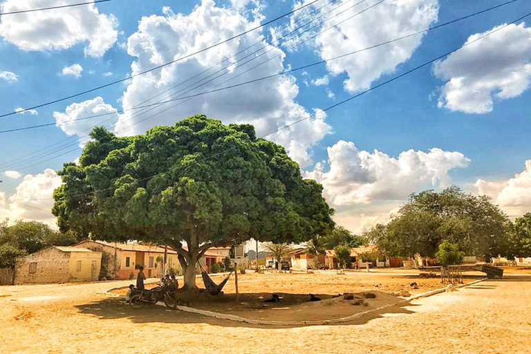 A imagem mostra uma paisagem rural com céu azul parcialmente nublado. Ao centro, uma árvore grande e frondosa com folhagem densa verde escura, criando sombra ampla no chão. Debaixo da árvore, duas pessoas estão próximas a uma motocicleta; uma delas está sentada em uma rede amarrada ao tronco. Em volta, um ambiente seco e arenoso, com algumas pequenas casas simples de construção tradicional ao fundo, típico de área rural ou semiárida.