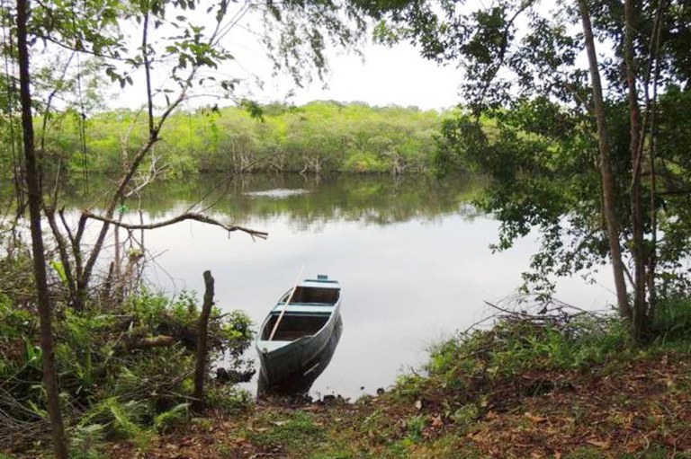 Foto mostra uma pequena canoa amarrada às margens de um córrego