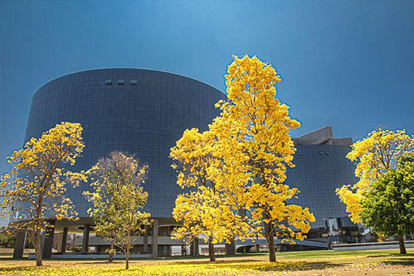 Foto: Leonardo Prado