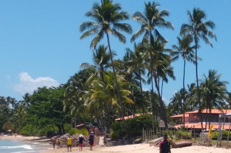 Foto de praia com vegetação (coqueiros e outras árvores) e casas ao fundo