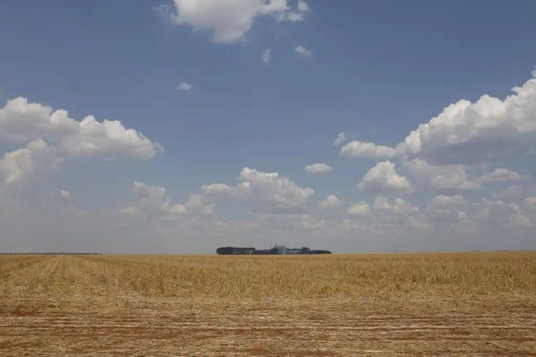 Foto de propriedade rural no Maranhão em que se vê uma vasta paisagem agrícola sob um céu ensolarado. O chão é coberto por restolho de colheita (palha seca de tom dourado/acastanhado), indicando que uma safra foi colhida recentemente. O terreno é extremamente plano, com linhas sutis que sugerem o movimento de maquinário agrícola. Ao centro da linha do horizonte, há uma pequena ilha de estruturas que parecem ser silos de armazenamento ou uma sede de fazenda. O tamanho reduzido dessas construções em relação ao cenário enfatiza a escala gigantesca da propriedade. O céu ocupa cerca de dois terços da imagem e é de um azul vibrante, com diversas nuvens.