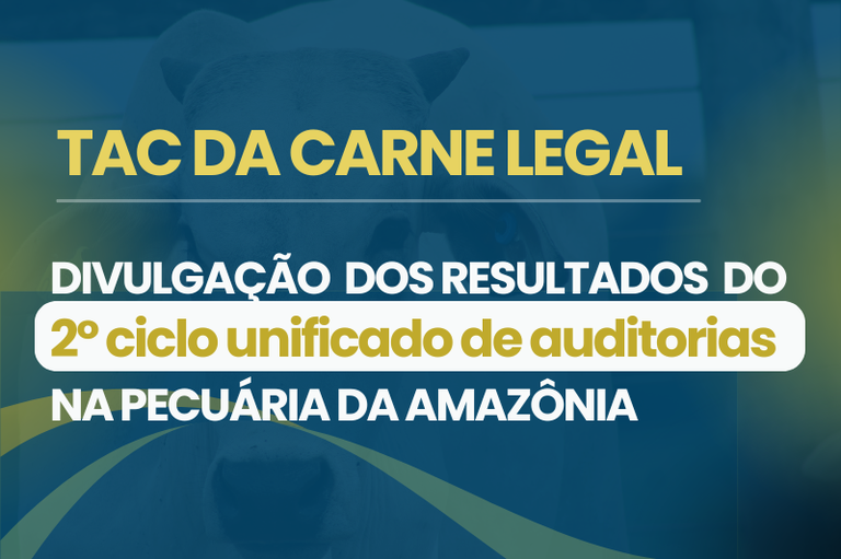 Arte em formato retangular com fundo em tons de azul e detalhes em amarelo. Ao centro, em letras grandes e amarelas, destaca-se a frase "TAC da Carne Legal", separada por uma linha branca de um texto abaixo. Este texto, em letras brancas e um retângulo amarelo arredondado ao fundo, informa "Divulgação dos Resultados do 2º Ciclo Unificado de Auditorias na Pecuária da Amazônia". Ao fundo, de forma desfocada, aparece a cabeça de um boi.