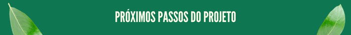 proximos-passos.png