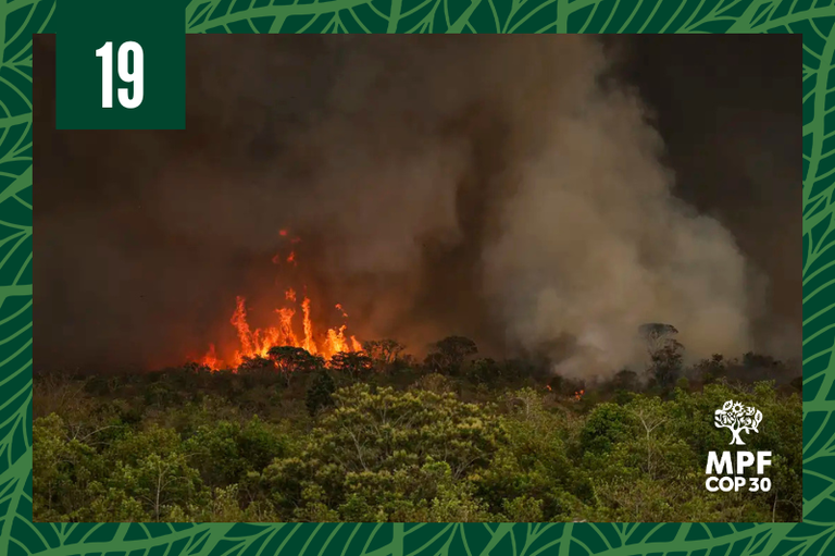 Foto da floresta amazônica em chamas