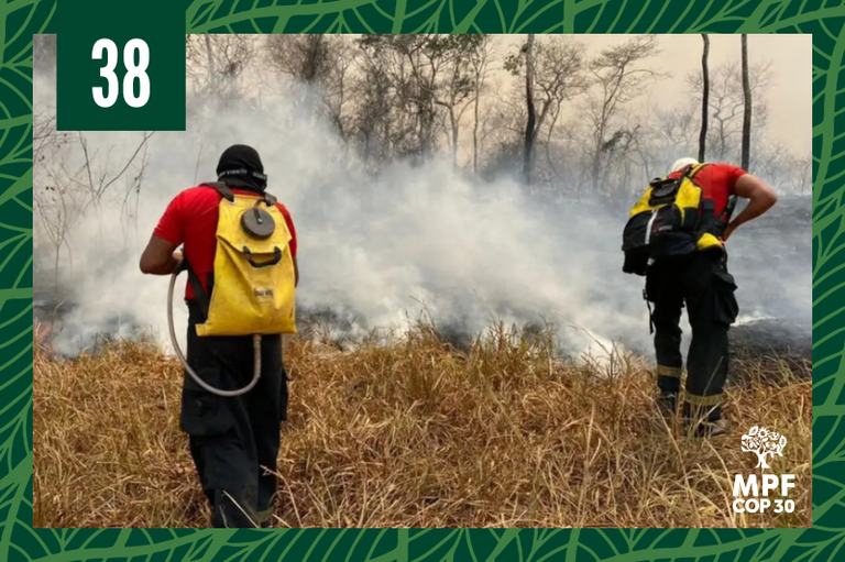 Foto de brigadistas na mata durante incêndio