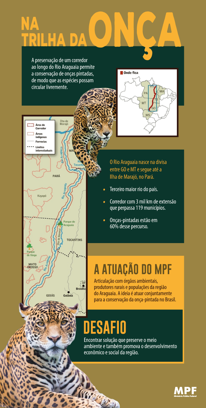 InfograficoCorredorOncaPintada.png