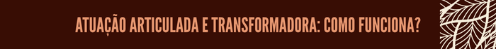 atuacao-articulada.png