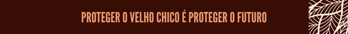 proteger-o-velho-chico.png