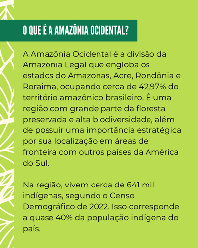 amazonia-banner-box-400x500.png
